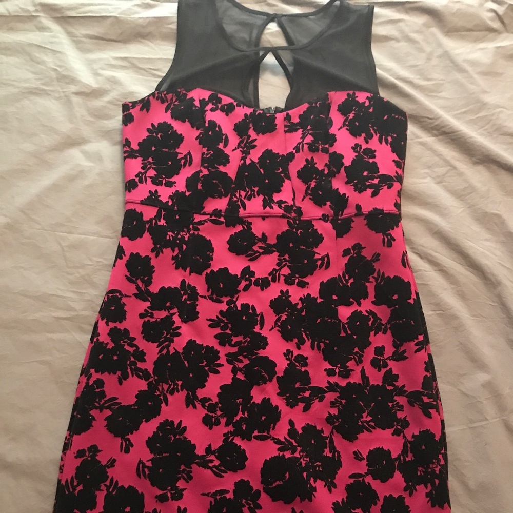 Purple Dress with Black velvet flowers